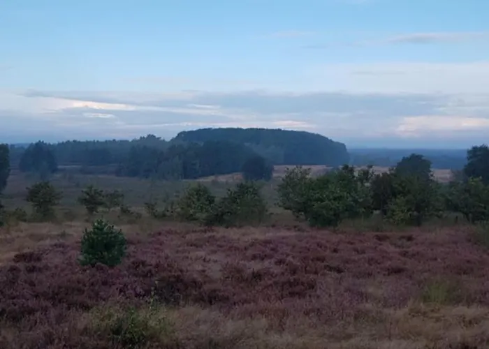 بيت للعطل Knus In Het Bos بيكبيرخين