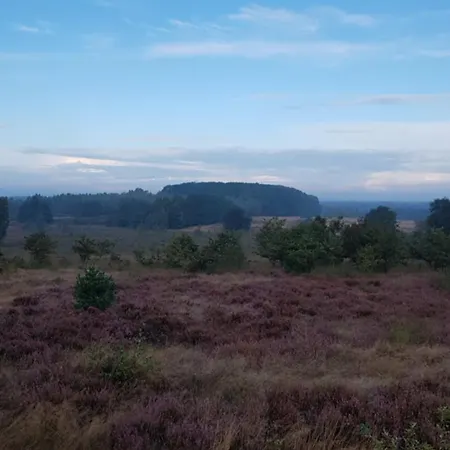 Nyaraló Knus In Het Bos Beekbergen