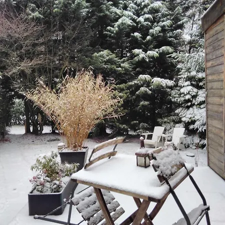 Knus In Het Bos Nyaraló