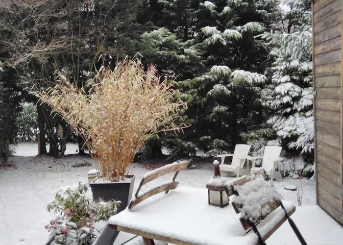 Knus In Het Bos Nyaraló